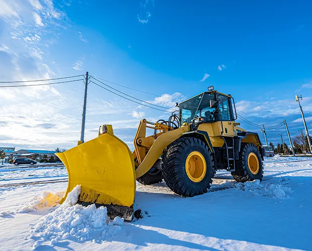排雪作業の様子