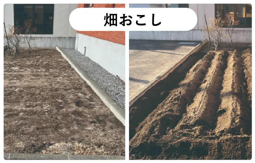畑おこし