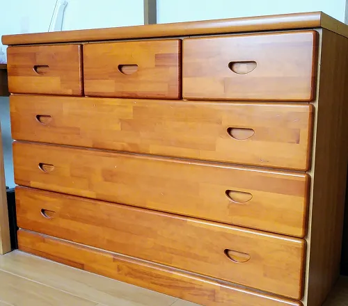 荷物や家具を運んでいる様子