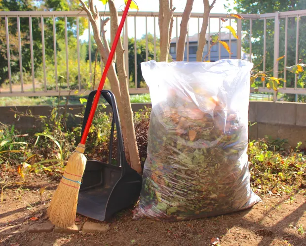 落ち葉やゴミを集めて処理している様子