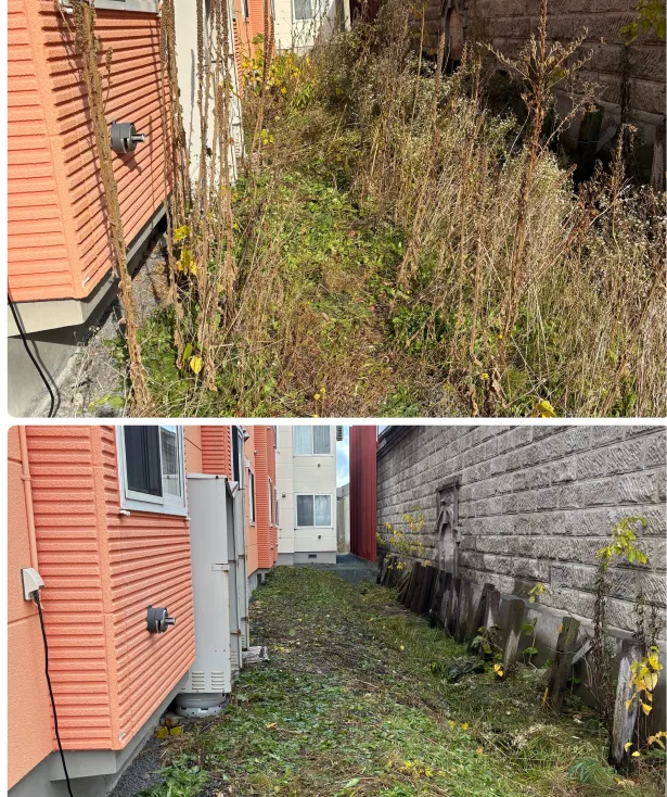 作業事例：草刈り（ビフォー・アフター）